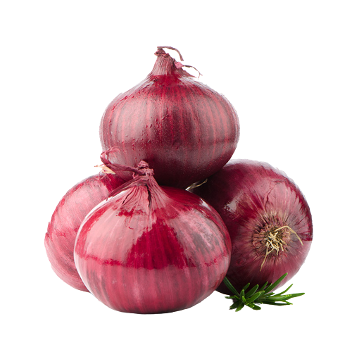 Onion red removebg preview